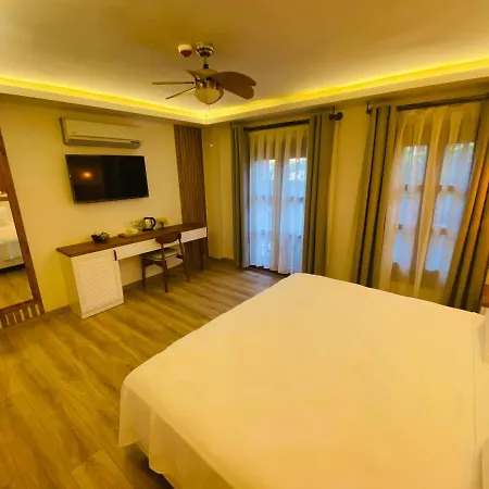 Hotel In Ephesus And Art Galery Selçuk