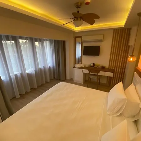Hotel In Ephesus And Art Galery Selcuk