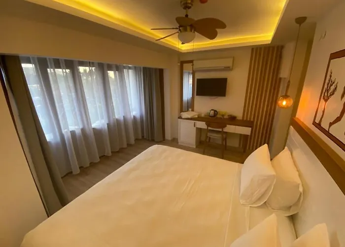 Hotel In Ephesus And Art Galery Selçuk